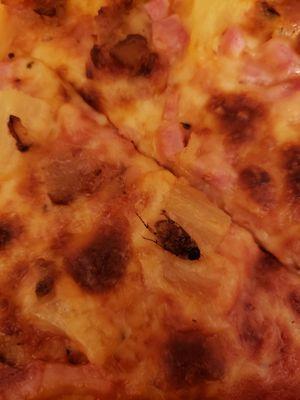 Bug baked into pizza my daughter almost ate