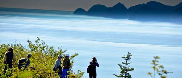 Alaska Active Tours - Beauty of Kenai Fjords National Park