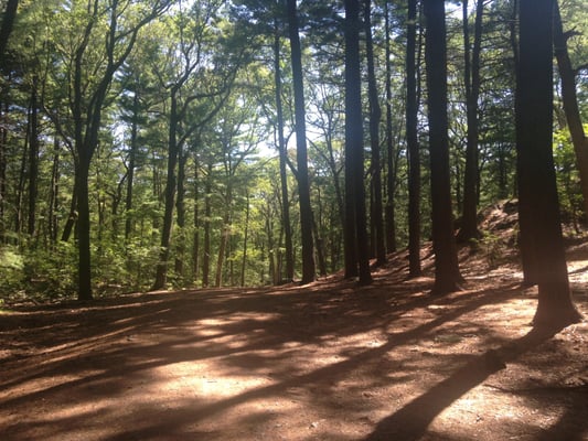 Hiking through the wooded trails at Menotomy