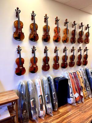 Violins and Bam / Gewa Cases