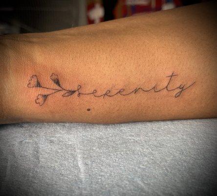 Serenity thin line work