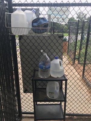 Water for the puppers. Bring in a gallon and leave if you like since no water station