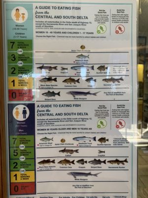 Fish guide