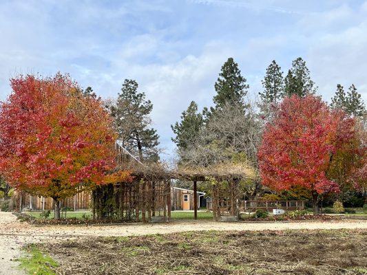 Perfect arbor for a special ceremony