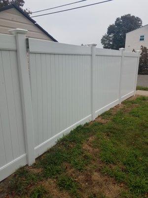 3 weeks after erecting the fence