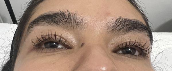 Eyelashes lift