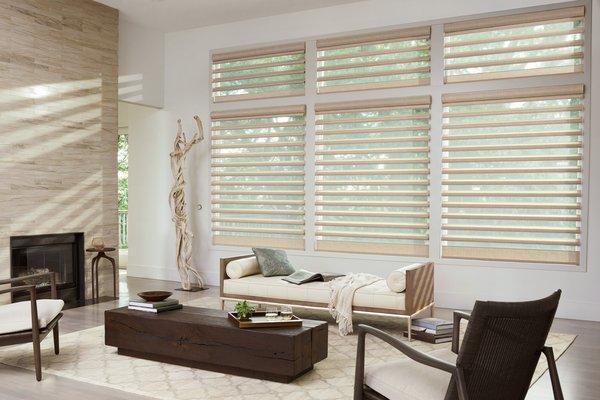 Hunter Douglas Pirouette Shadings