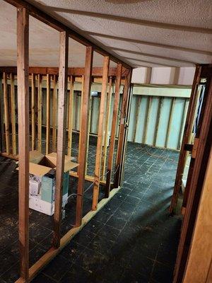 Basement remodel before