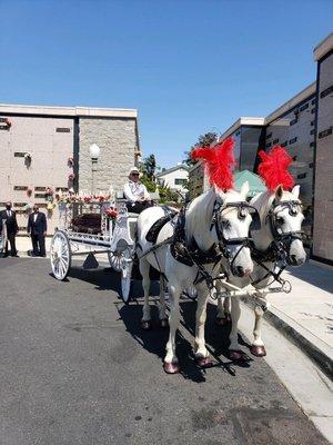 Beautiful Cementry G&F Carriages Horse drawn hearse