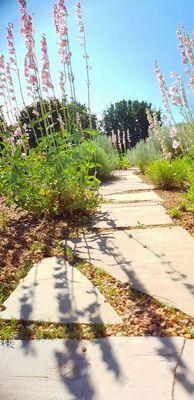 Stone and gravel pathway