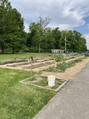 Garden plots