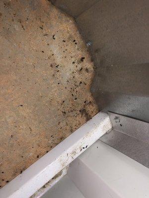 Rat/mouse droppings inside of my unit.