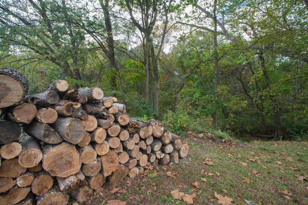 Hollis Picnic Area Firewood