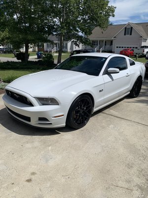 5.0 mustang ready for mustang week after a silver package cleaning