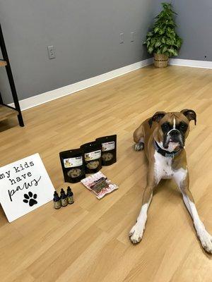 Pet treats and Pet Tinctures