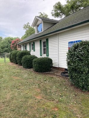 Trimmed & shutters hung