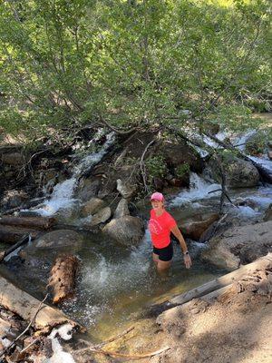 Taking a dip in melted snow stream