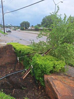 Storm Damage 5/28/24