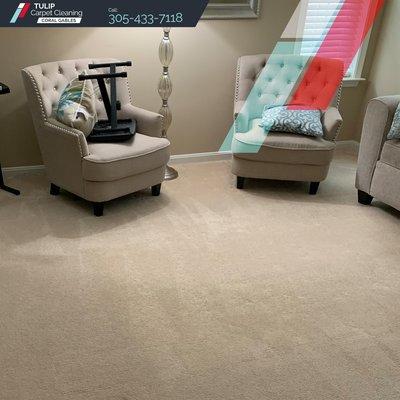 Carpet and Upholstery Cleaning