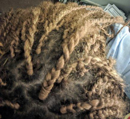 Senegalese twist after a few days being installed