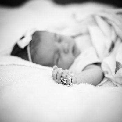 New Born Portraits