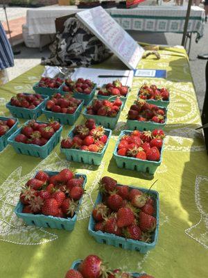 $5 for freshly picked today!