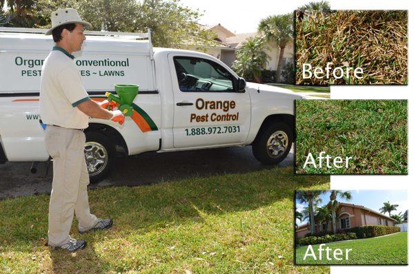 Lawn Pest Control and Fertilization.