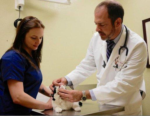 Dr. Coffman examining kitty's mouth.