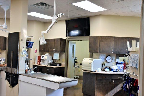 The treatment area was built to be spacious so large dogs are not stressed out, there are multiple treatment tables, and in house bloodwork.