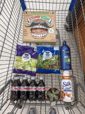 Pizza ($5.98), bagged salad ($2.68 each), Suave Men 2-in-1 40 oz ($4.98), Diet Coke ($4.44), Silk Almond Creamer ($3.98), Succulent ($5.00).