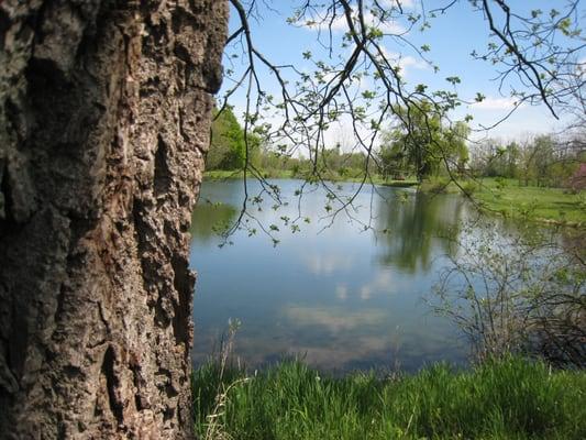 Grass Lake Sanctuary