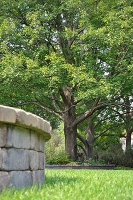 Repetition is a very important part of a landscape. Here you see a sitting wall repeated by the retaining wall around the tree.