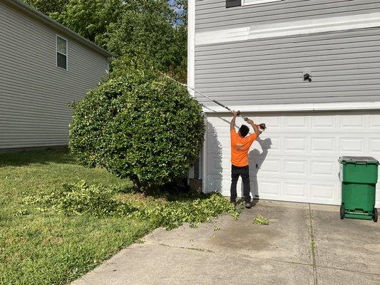 Trimming Service