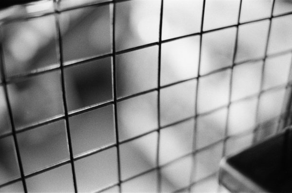 The fencing that kept me from falling to my death on Kodak Tri-X 400