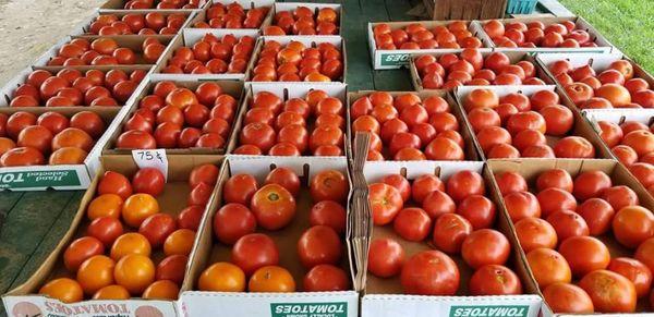 Local Tomatoes. Absolutely Delicious.