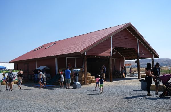 the barn where they provide some shade and a chick experience