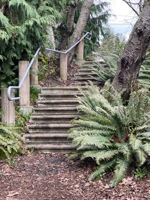 Entry stairs from NW 89th St