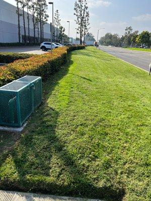 Commercial Lawn Maintenance