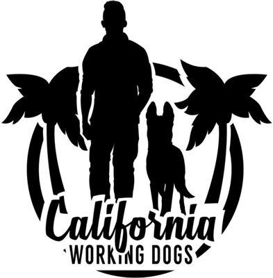 Premium Dog Training Services in California