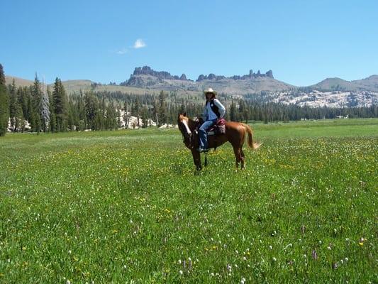 Dr. Hooks and Mai Tai at Eagle Meadow California