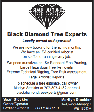 Our business card, contact info and specialties!