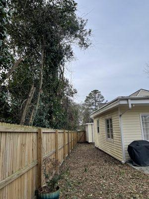 Cut the tree line back to the fence.