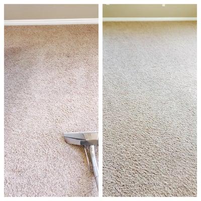 Carpet Cleaning In a rental in Provo.