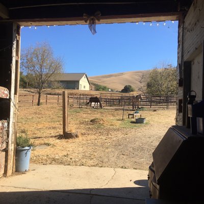 Blue skies at the farm!