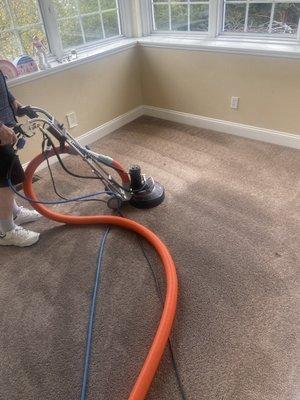 I didn't realize how filthy my carpets were! I forgot they were light brown.