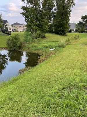 This is the back of my house that they are responsible for. They haven't touched it in the year.