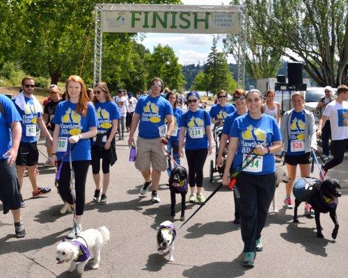 Walking at the annual Furry 5K to raise funds for the Seattle Animal Shelter