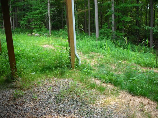 This shows A) unwanted grass where seed was spread on stones under deck B) "lawn" area beyond the post.