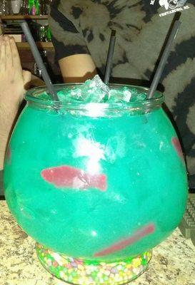 Yumm fish bowls