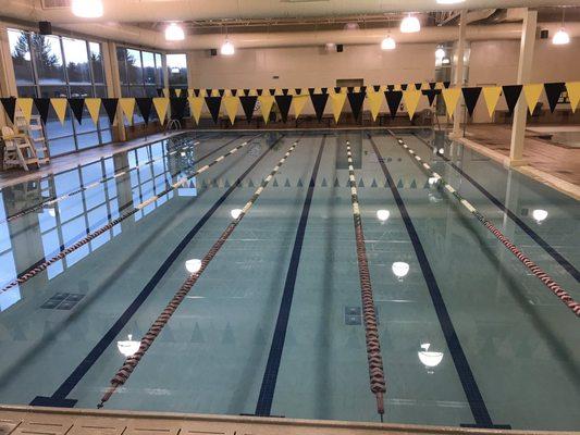 Gold's Swimming Pool